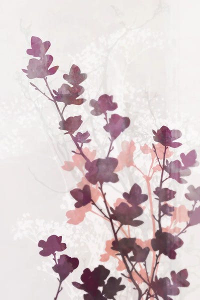 Ken Roko: Purple Heart by Ken Roko