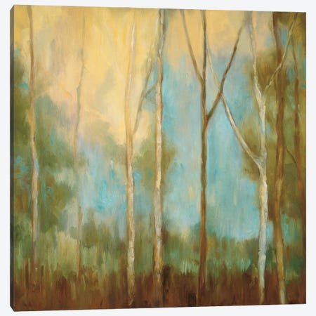 Bare Trees II Canvas Print #KRM2} by Kristi Mitchell Canvas Print