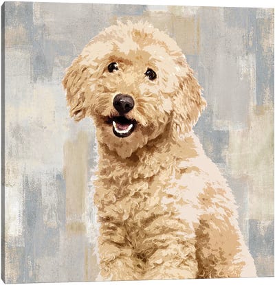 Poodle Canvas Art Print - Poodle Art
