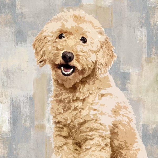Poodles: Poodle by Keri Rodgers