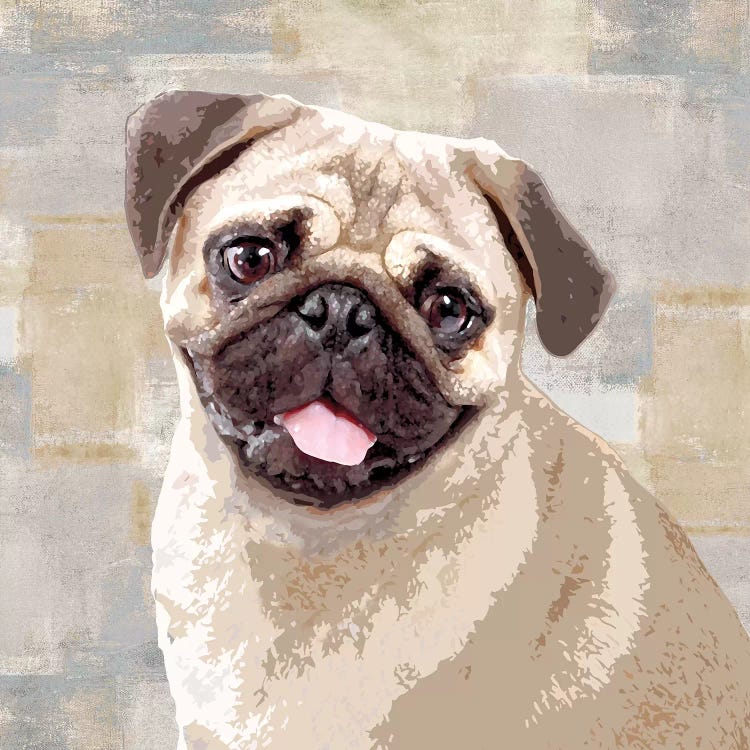 Pug