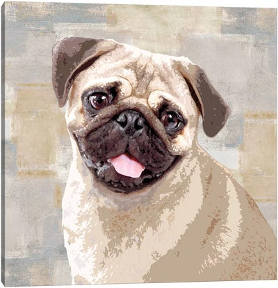 Pug Canvas Art Print - Pug Art