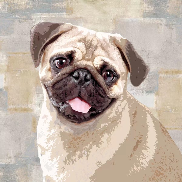 Pugs: Pug by Keri Rodgers