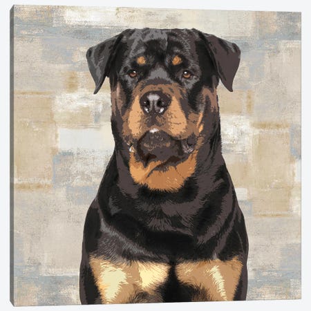 Rottweiler Canvas Print #KRO14} by Keri Rodgers Canvas Art Print