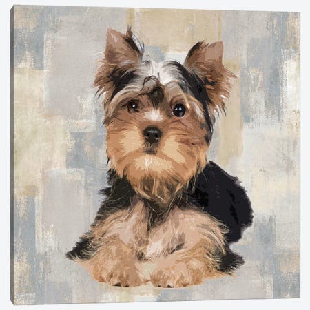 Yorkshire Terrier Canvas Print #KRO17} by Keri Rodgers Canvas Art Print