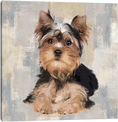 Yorkshire Terrier Canvas Art Print - Tan Art