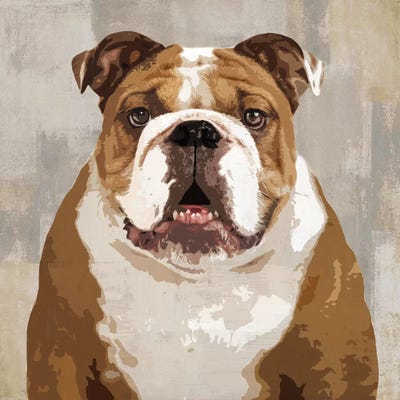 bulldog canvas art