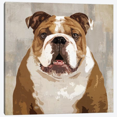 Bulldog Canvas Print #KRO3} by Keri Rodgers Canvas Art Print
