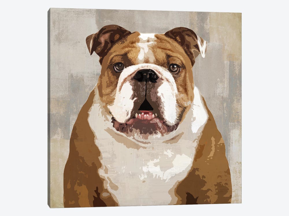Bulldog by Keri Rodgers 1-piece Canvas Art