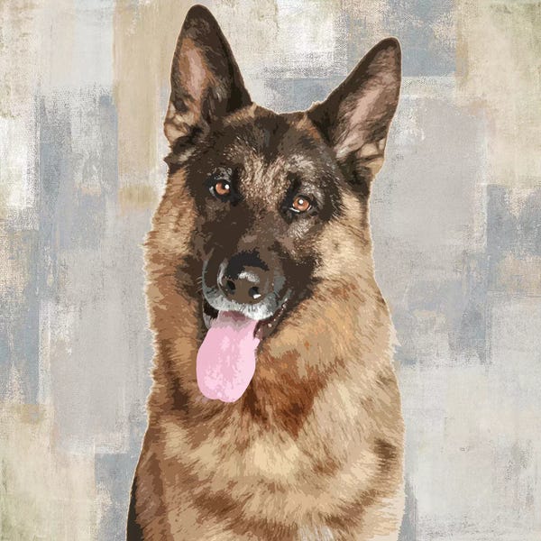 German Shepherds: German Shepherd by Keri Rodgers