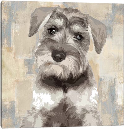 Miniature Schnauzer Canvas Art Print - Dog Art