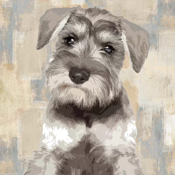 Schnauzers: Miniature Schnauzer by Keri Rodgers