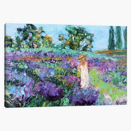 Provence Lavender Canvas Print #KRT118} by Karen Tarlton Canvas Artwork