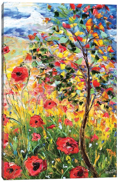 Provence Poppies Canvas Art Print - Karen Tarlton