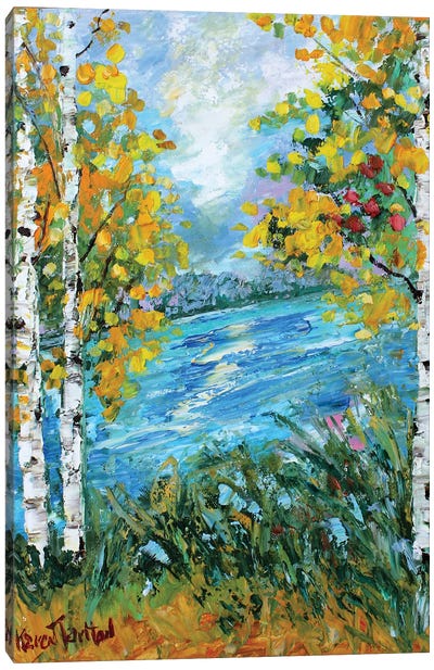 Birch Tree Fall Canvas Art Print - Karen Tarlton