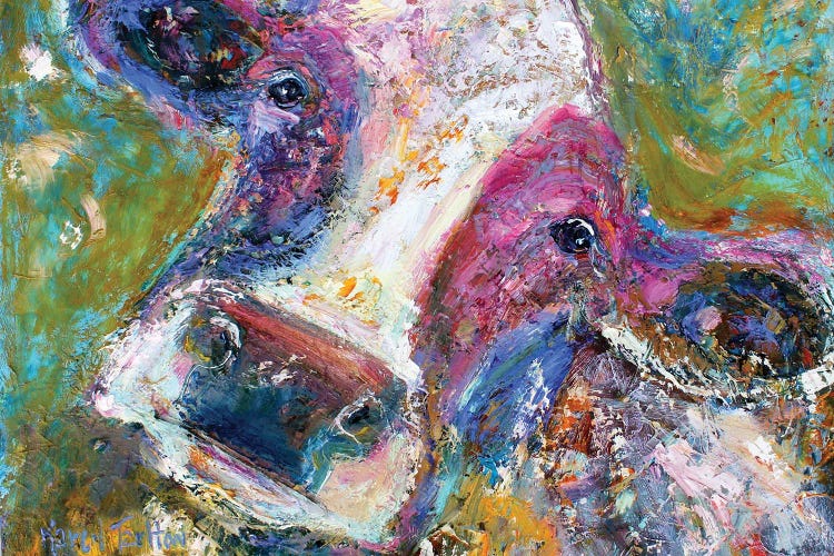 Colorful Cow II