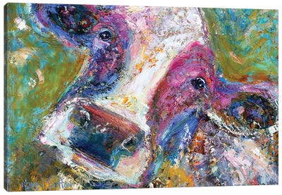 Colorful Cow II Canvas Art Print - Karen Tarlton