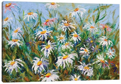 Daisies And Wildflowers Canvas Art Print - Karen Tarlton