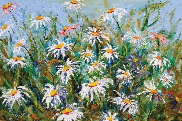 Daisies: Daisies And Wildflowers by Karen Tarlton