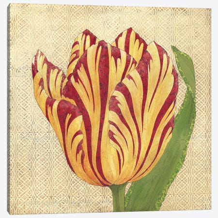 Fire Tulip Canvas Print #KRZ14} by Karen Sikie Canvas Art
