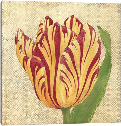 Fire Tulip Canvas Art Print - Karen Sikie