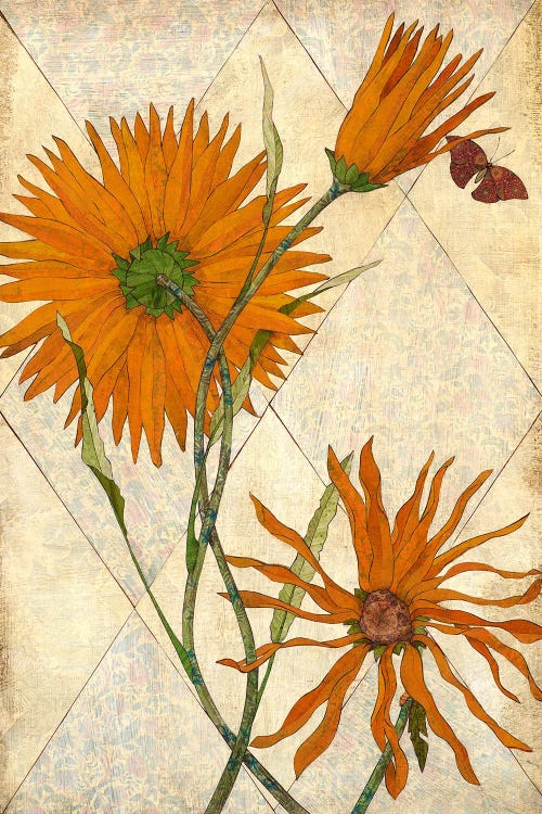 Orange Daisies