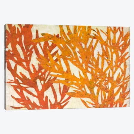 Orange Plant Silhouette Canvas Print #KRZ26} by Karen Sikie Canvas Print