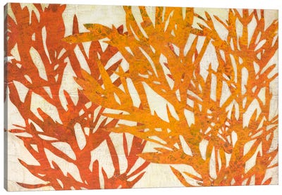Orange Plant Silhouette Canvas Art Print - Karen Sikie