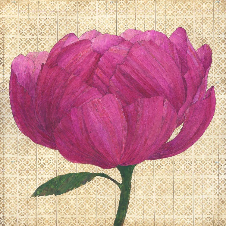 Pink Peony