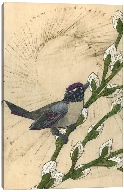 Spring Bird Canvas Art Print - Karen Sikie