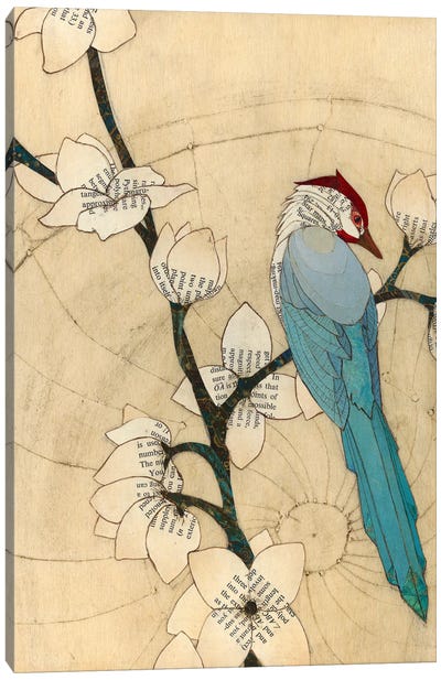 Summer Bird Canvas Art Print - Karen Sikie