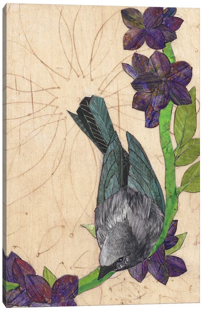 Black Bird Canvas Art Print - Karen Sikie