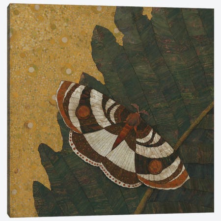 Mother Moth Canvas Print #KRZ53} by Karen Sikie Canvas Print