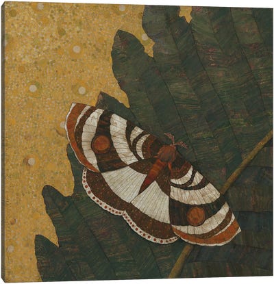Mother Moth Canvas Art Print - Karen Sikie