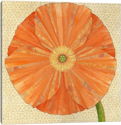 California Poppy Canvas Art Print - Karen Sikie