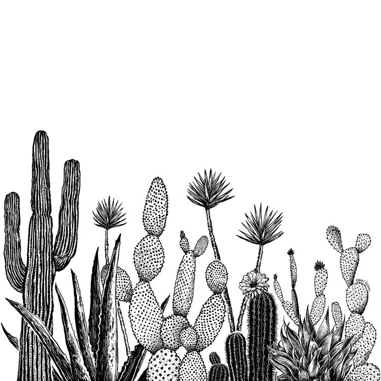 Cacti Growing