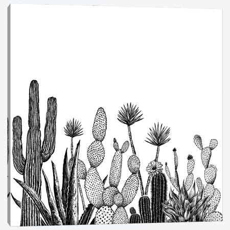 Cacti Growing Canvas Print #KSI11} by Kaari Selven Canvas Print