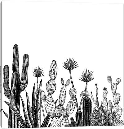 Cacti Growing Canvas Art Print - Kaari Selven
