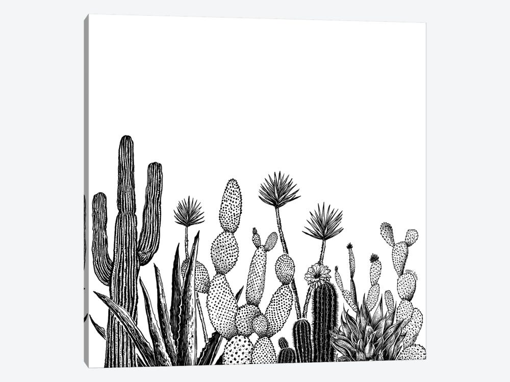 Cacti Growing by Kaari Selven 1-piece Canvas Artwork