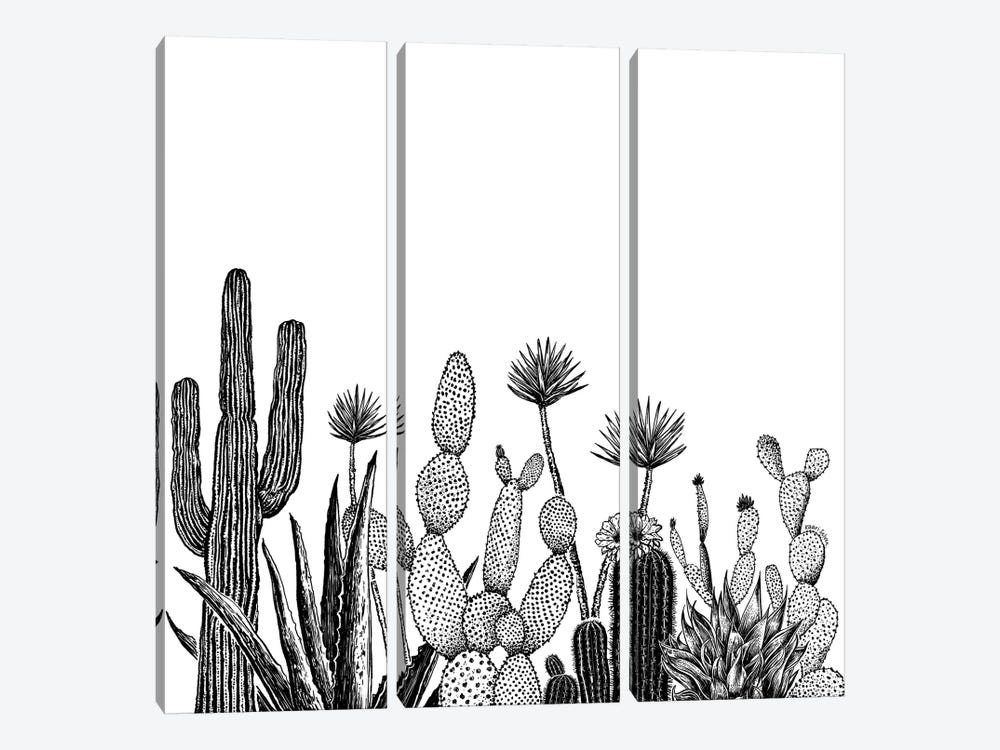 Cacti Growing by Kaari Selven 3-piece Canvas Art