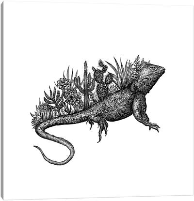 Cacti Lizard Canvas Art Print - Lizard Art