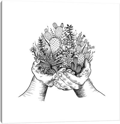 Cactus And Succulent Hands Canvas Art Print - Kaari Selven