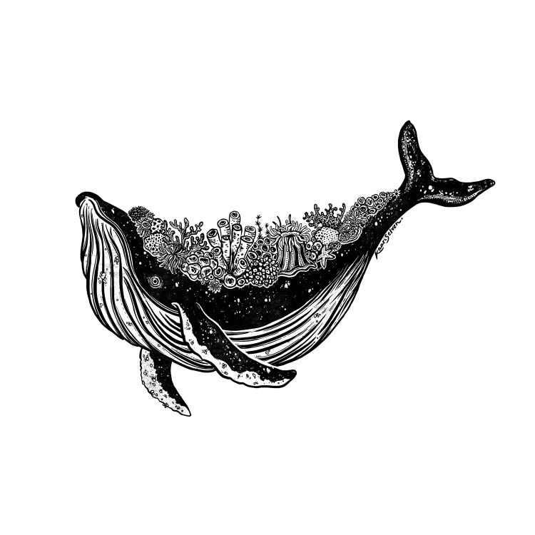 Coral Whale by Kaari Selven wall art