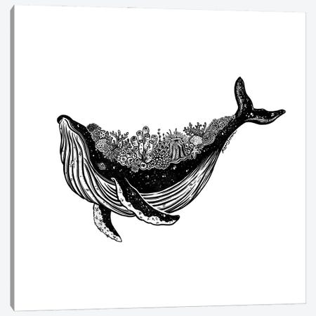 Coral Whale Canvas Print #KSI20} by Kaari Selven Canvas Art