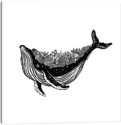 Coral Whale Canvas Art Print - Humpback Whale Art