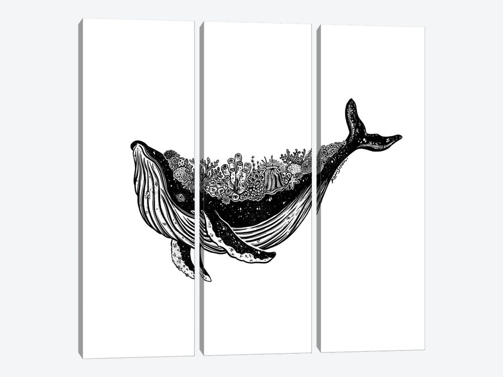 Coral Whale by Kaari Selven 3-piece Canvas Wall Art