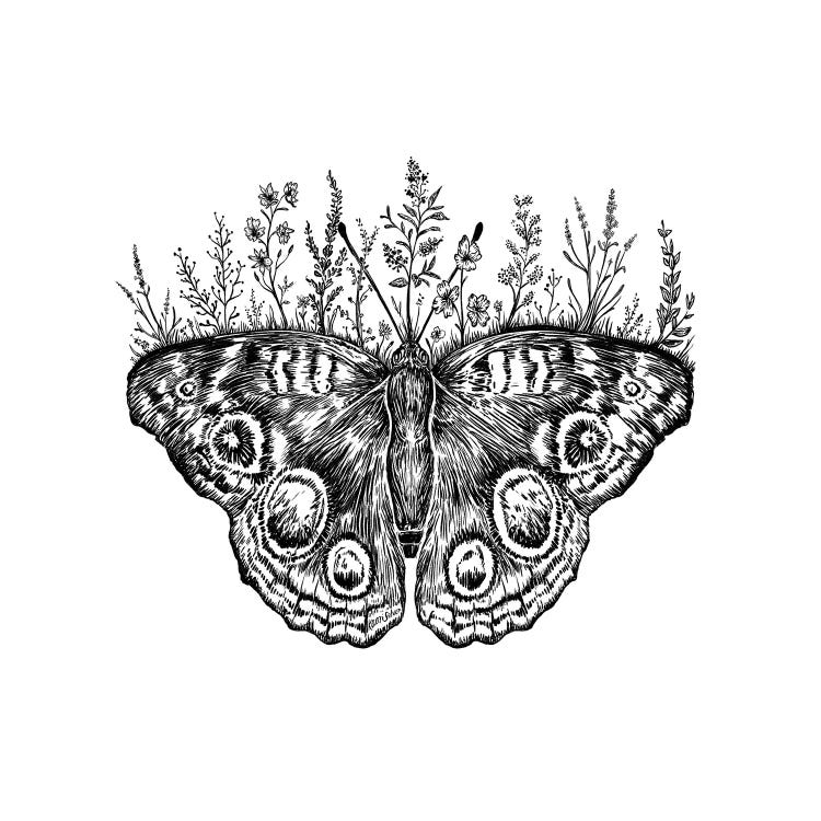 Floral Butterfly by Kaari Selven wall art