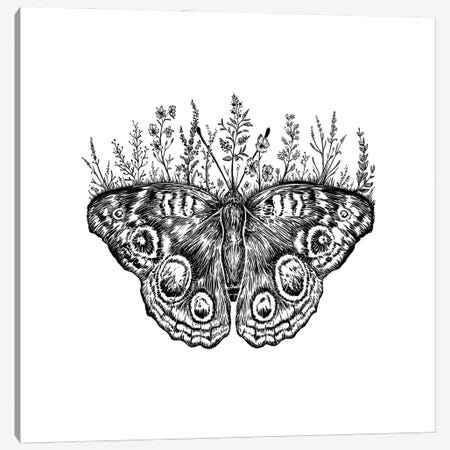 Floral Butterfly Canvas Print #KSI24} by Kaari Selven Art Print