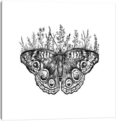 Floral Butterfly Canvas Art Print - Kaari Selven