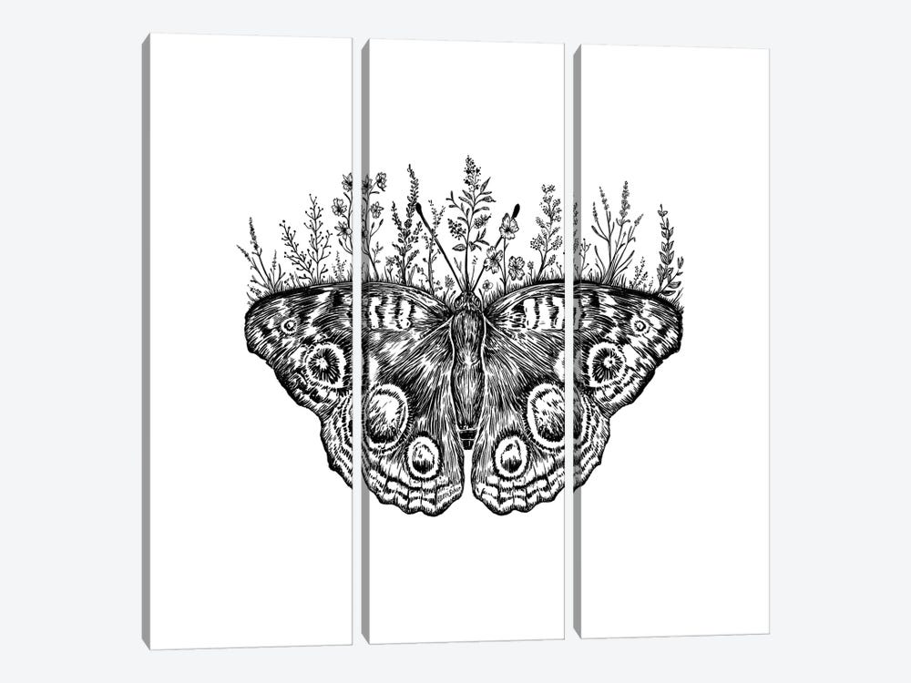 Floral Butterfly by Kaari Selven 3-piece Canvas Artwork
